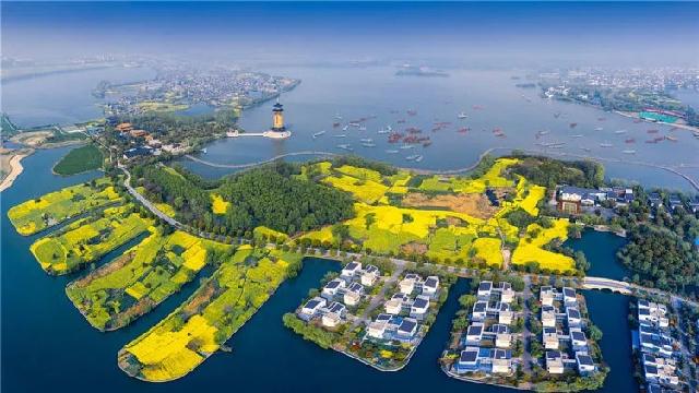 溱湖春色